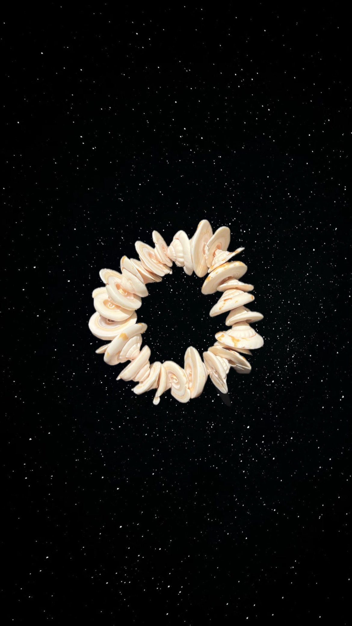 Seashell bracelet