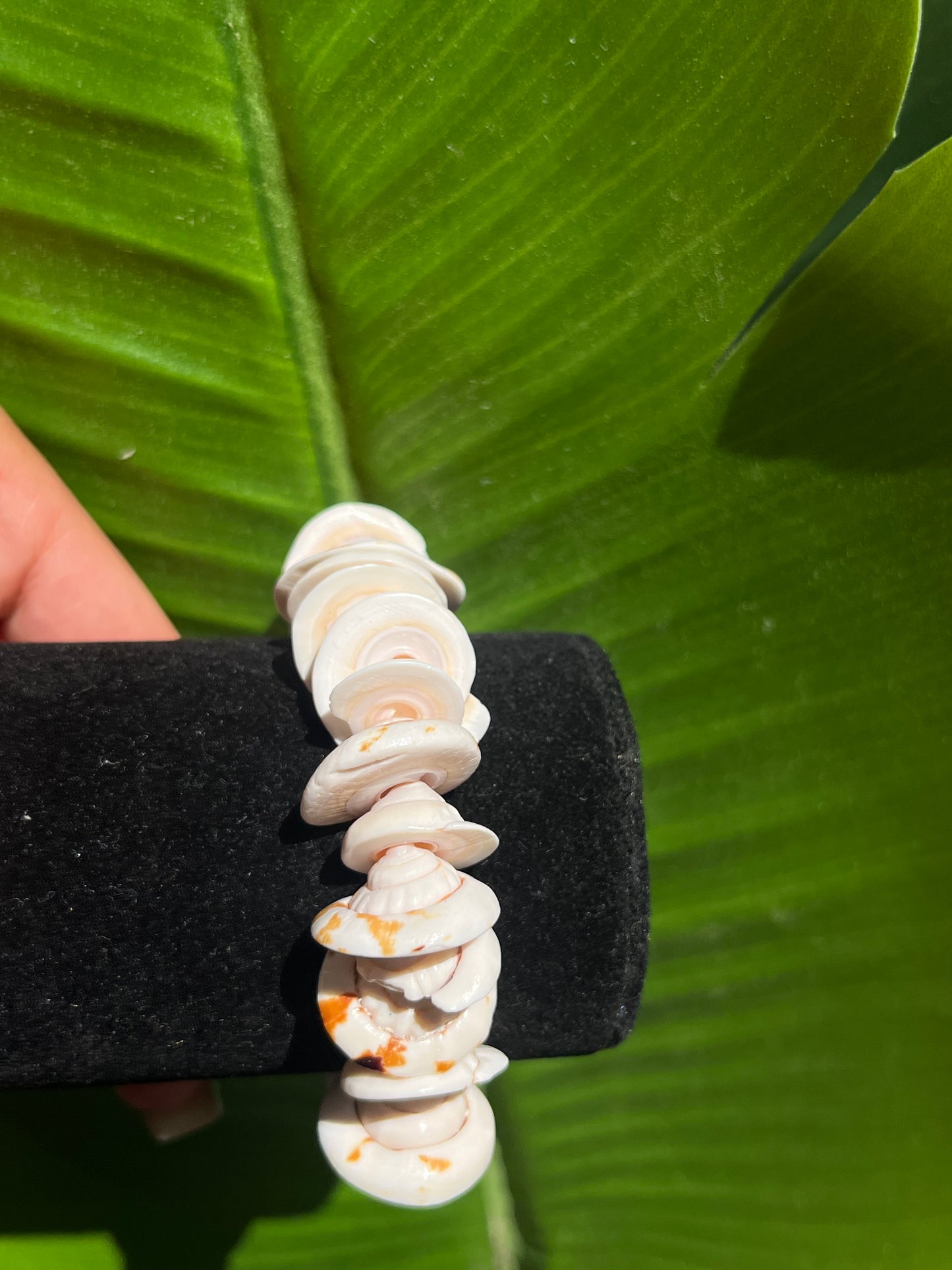 Seashell bracelet